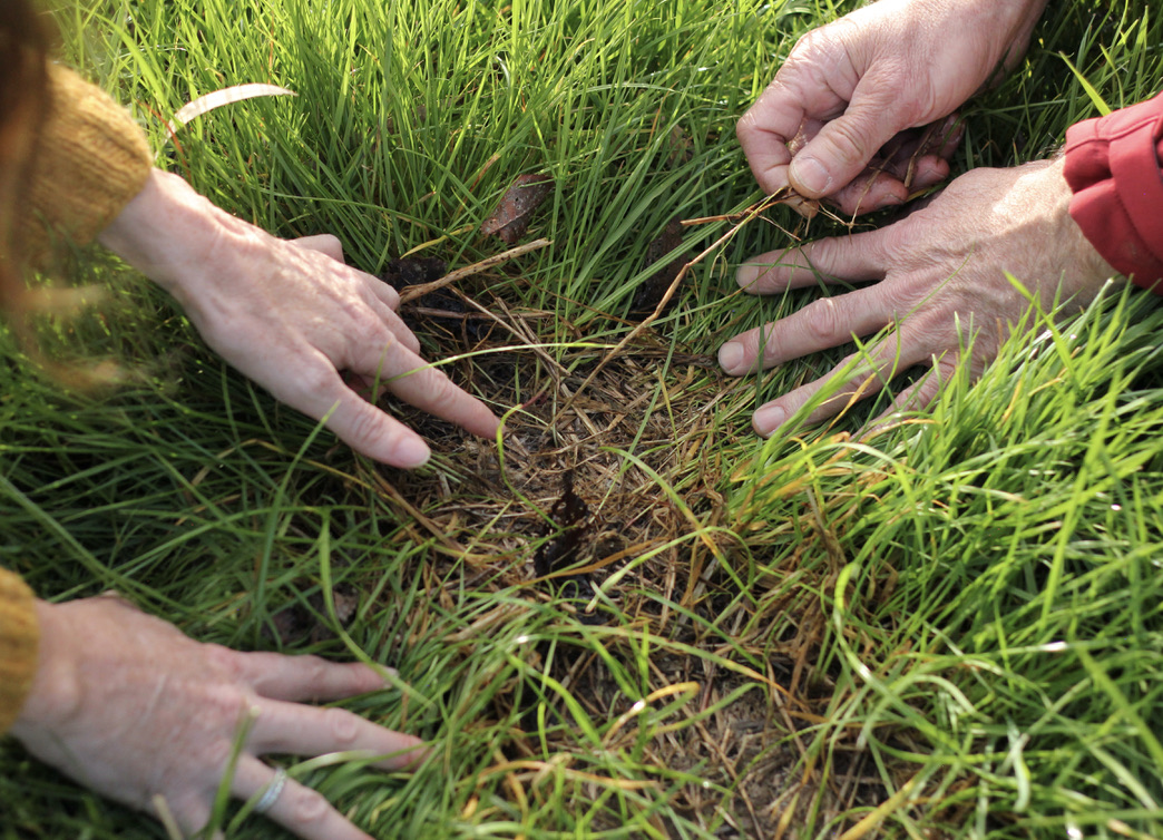 Carbon Farming project