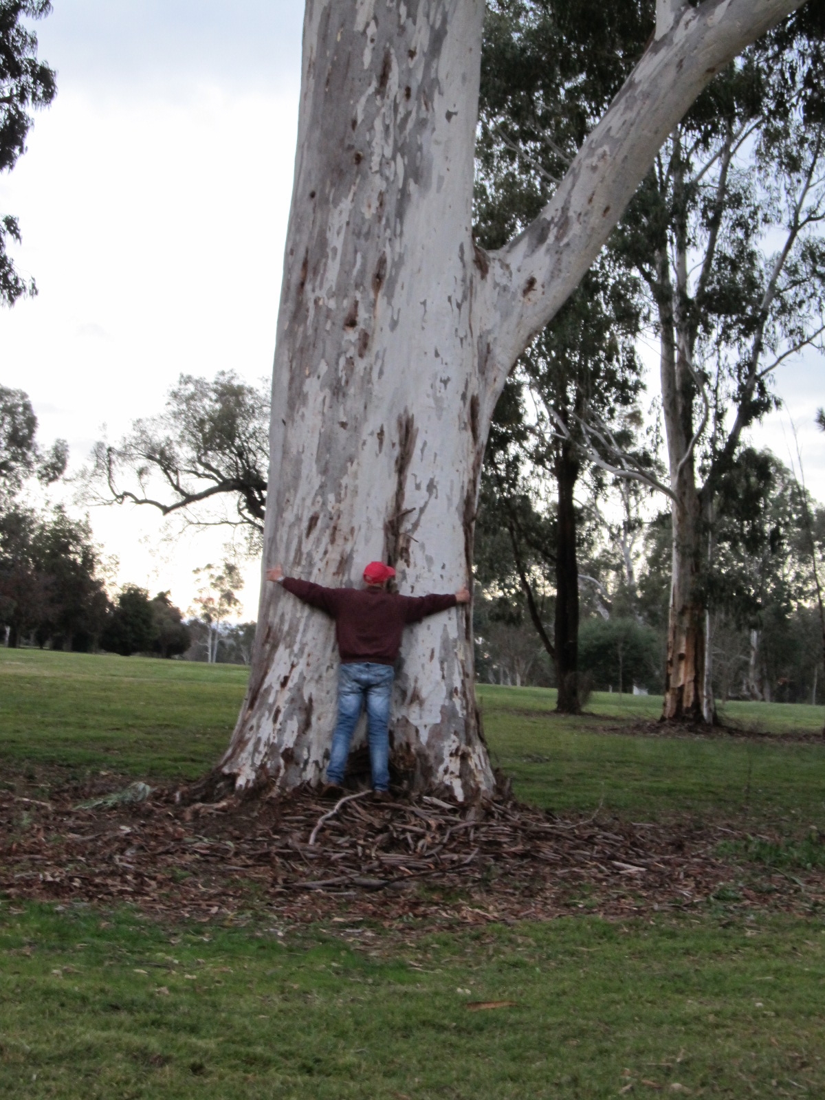 Yackandandah Golf Course