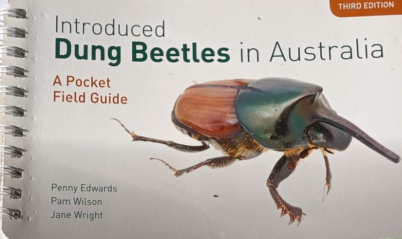 dung beetles handbook (Small)