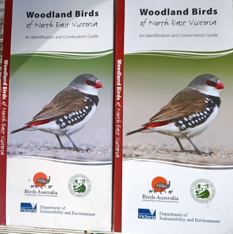 woodland birds brochure (Small)
