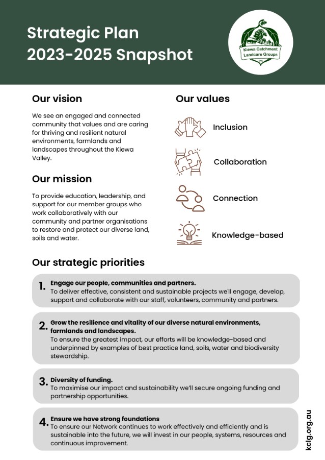 strategic plan overview